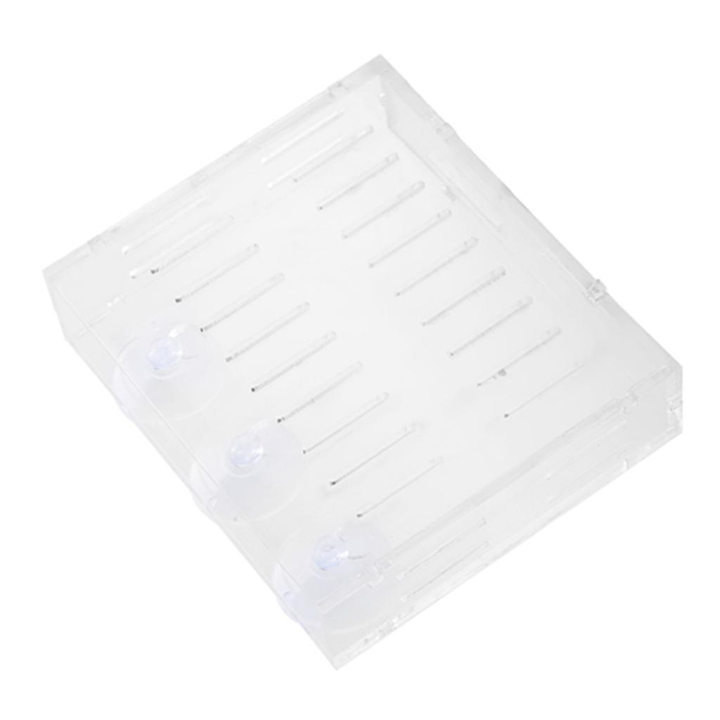 Аквариумный Растение Водная Трава Чаша Ландшафтные Растения Культивация Бассейн Чаша с Присосками