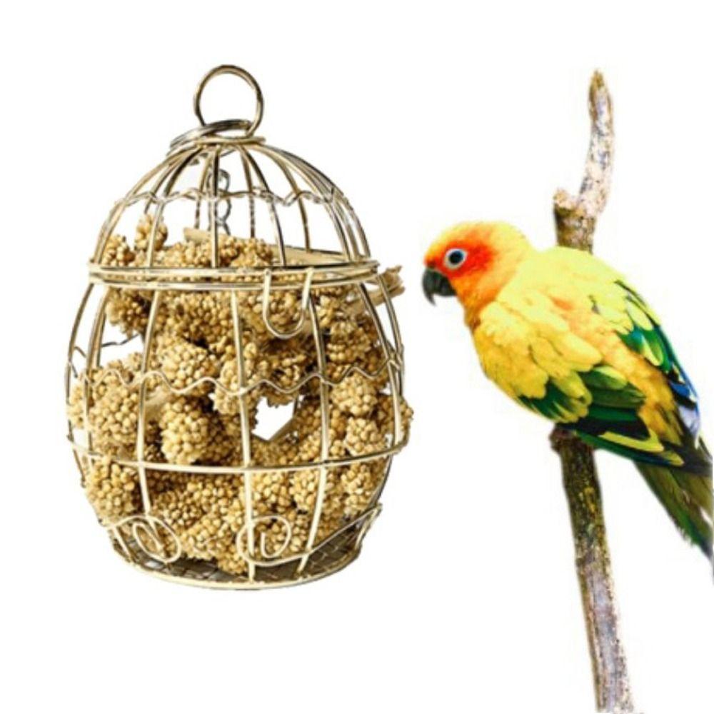 Accessories Bird Food Holder Parrot Vegetable Basket Parrot Feeding Box Parrot Millet Container