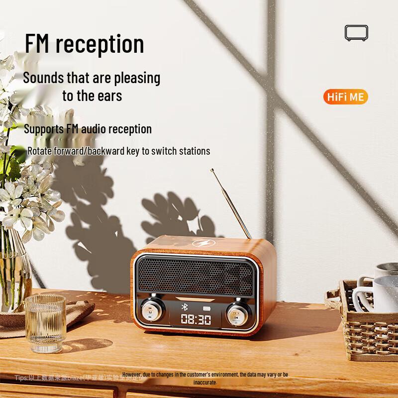Biaze Retro Mini Bluetooth Speaker & FM Radio