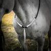 Horse Breast Collar, Necklace, , Multifunctional Nylon Accessory, Decorative with Tassels, Riding