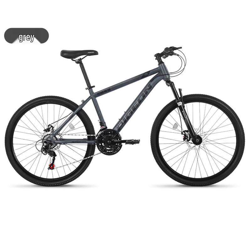 Flying Pigeon DF005 Mountain Bike
