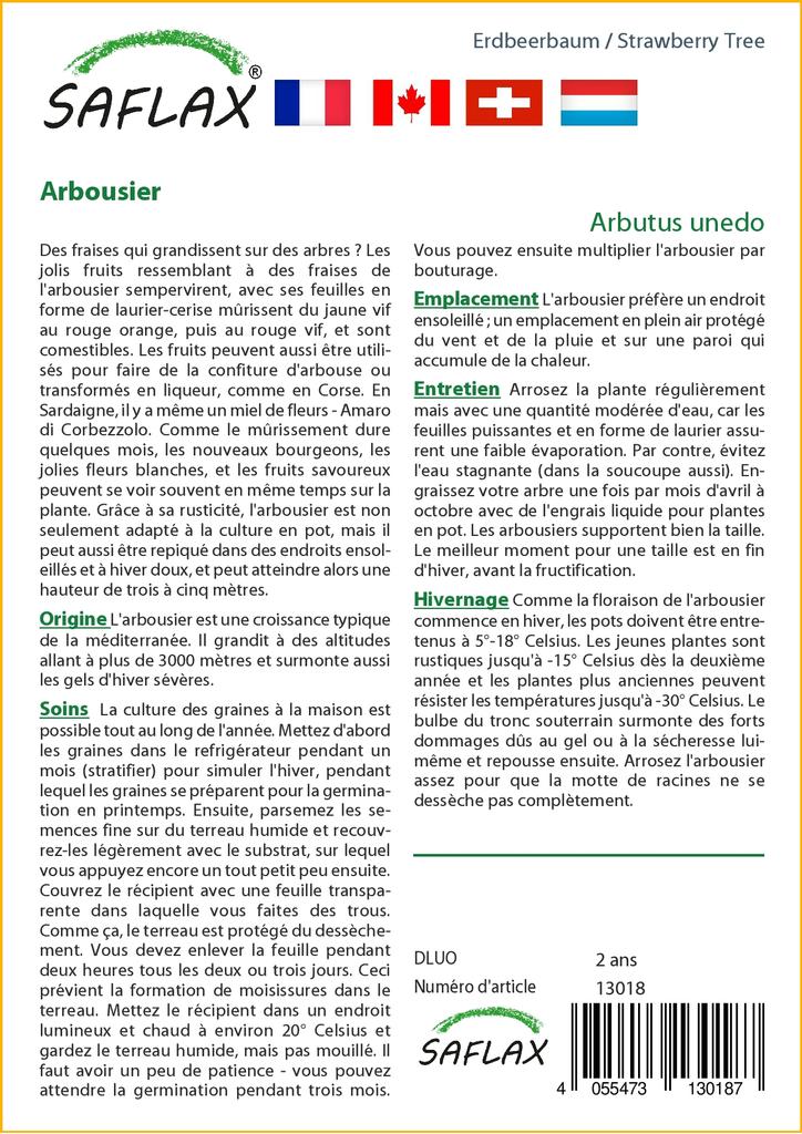 SAFLAX Земляничное дерево - 50 семян - Arbutus unedo