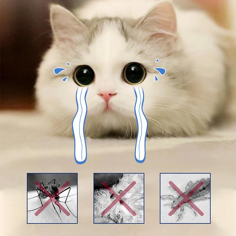 Ошейник от блох и клещей для кошек, маленьких собак, противопаразитарный, защита от паразитов на 8 месяцев, регулируемый ошейник для щенков и котят, аксессуары для домашних животных