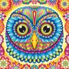 5D Full Drill Square Diamond Painting Owl Picture Of Rhinestone Diamond Embroidery Animal Cross Stitch Handmade Gift