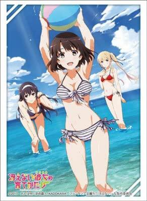 Bushiroad Коллекция рукавов Высокого класса для воспитания скучной девушки Том 1304 «Как» Часть 2