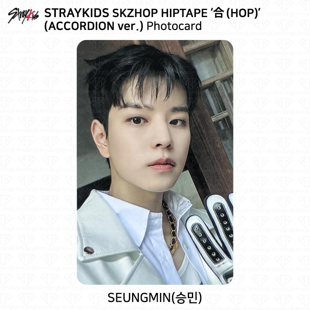 Stray Kids SKZHOP HIPTAPE HOP Аккордеон Официальная фотокарточка Unit Monochrome