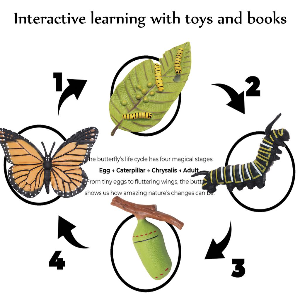 Montessori Kids English Learning Set Animals Life Cycle Toy Set With 5 English Books – Ant, Frog, Butterfly, Mosquito & Bean