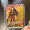 [USED] Uma Musume Vys Maruzensky