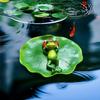 Floating Frog Ornament Waterproof Detailed Pool Decor Frog Sculpture Eco-friendly Floating Figurine Craft for Pond Pool Fish Tank
