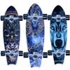 72 см Pro Land Surfboard для начинающих, доска для серфинга, упражнения, Brush Street, большая доска для рыб, прогулочный скейтборд, 7 слоев, кленовый лонгборд 2023