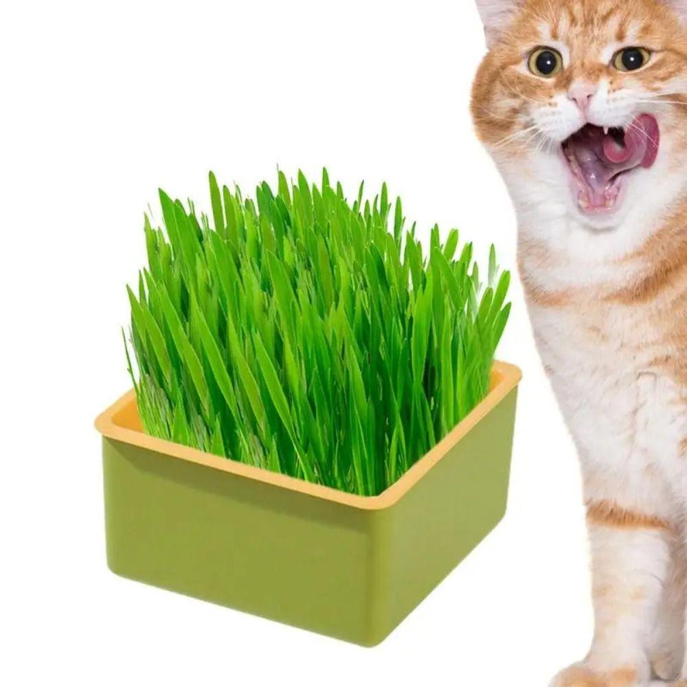 Многослойные миски для посадки кошачьей травы, 4 стиля, поднос для питомника, набор для выращивания кошачьей травы, ветеринария