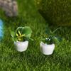 Miniature Plant Models of Simulated Potted Plants Finished Round Art Landscape Micro-landscape Ornaments