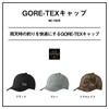 Daiwa GORE-TEX Cap DC-1025 Gray Free Size