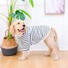 Dog Summer Striped T-shirt Cool Breathable Cotton Vest for Medium To Large Dogs Pet Clothing Comfortable Dog Shirt Pet Supplies