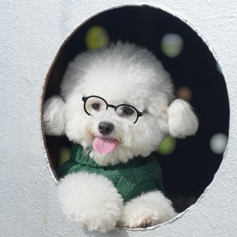 Hot Sale Dog Sweaters Pet Clothes Luxury Hoodie Sweater Shirt Dog Apparel