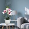 Multi-Bloom Simulated Butterfly Orchid White Flower Pot Plastic Fake Flower  Home Decor