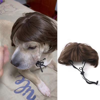 Аксессуары для головы парики для домашних животных реквизит для фотографий собака кошка переодевание волосы костюм для домашних животных Хэллоуин