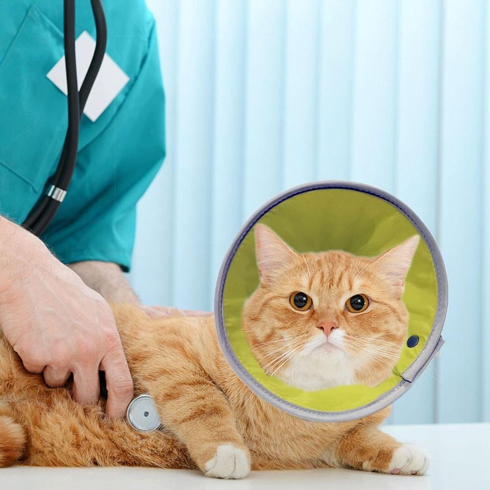 Anti-bite Cat Cone Collar Lightweight Pet Protective Cover Cat Wound Recovery Sleeve Recovery