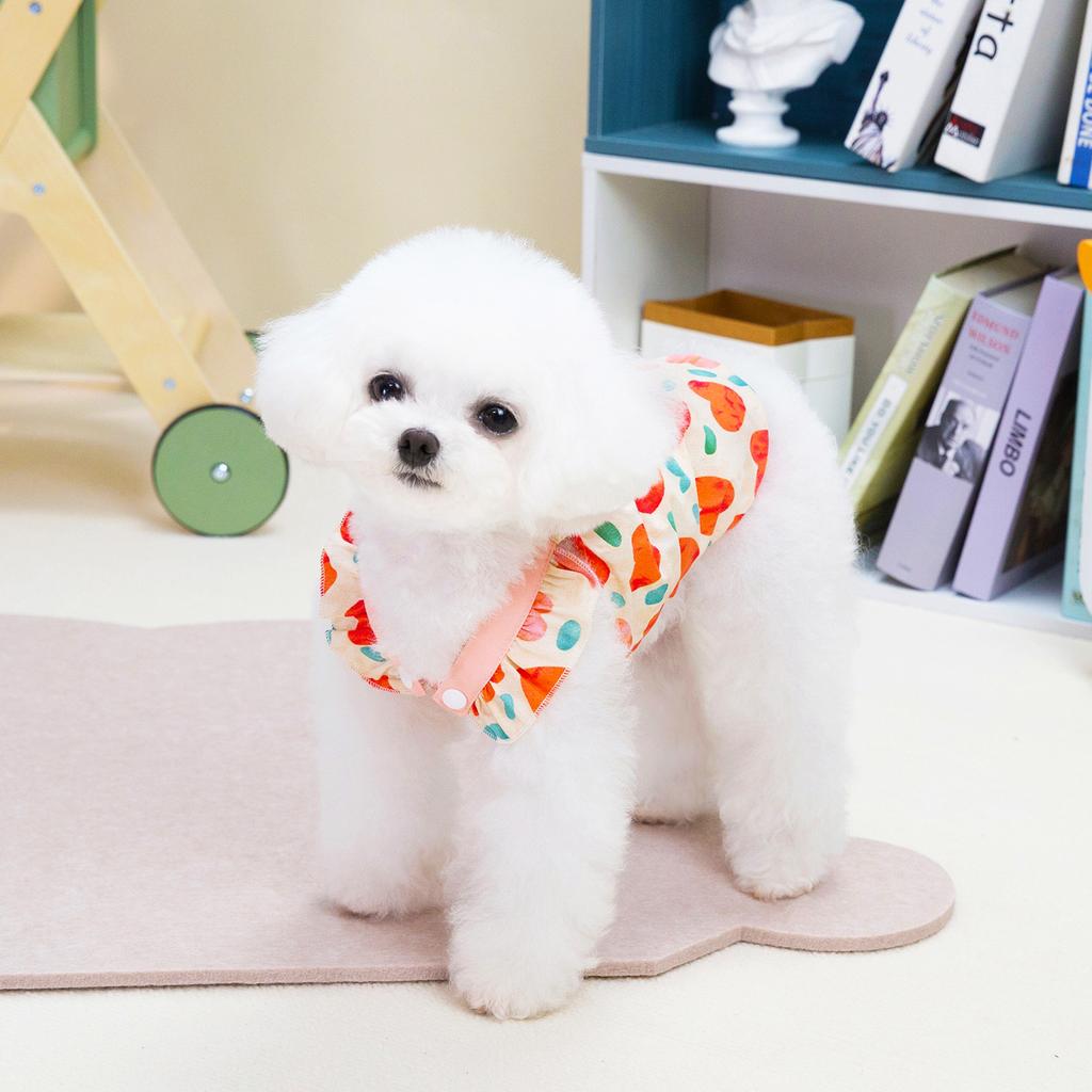 Summer Pet Dog Clothes Breathable Thin Coat for Small Medium Dog Vest Cat Clothing Puppy Shirts Kitten Jakcet for Chihuahua Corgi Poodle Teddy Bulldog