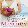 One Summer by Roisin Meaney Paperback Book 9781444706826