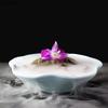 Melamine Dry Ice Plate Plastic Dessert Cake Plate Restaurant Main Dish Chinese Hot Pot Side Dish Household Kitchen Tableware