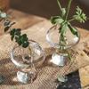 Ваза из стекла в форме гриба, DIY, прозрачная стеклянная ваза, настольная