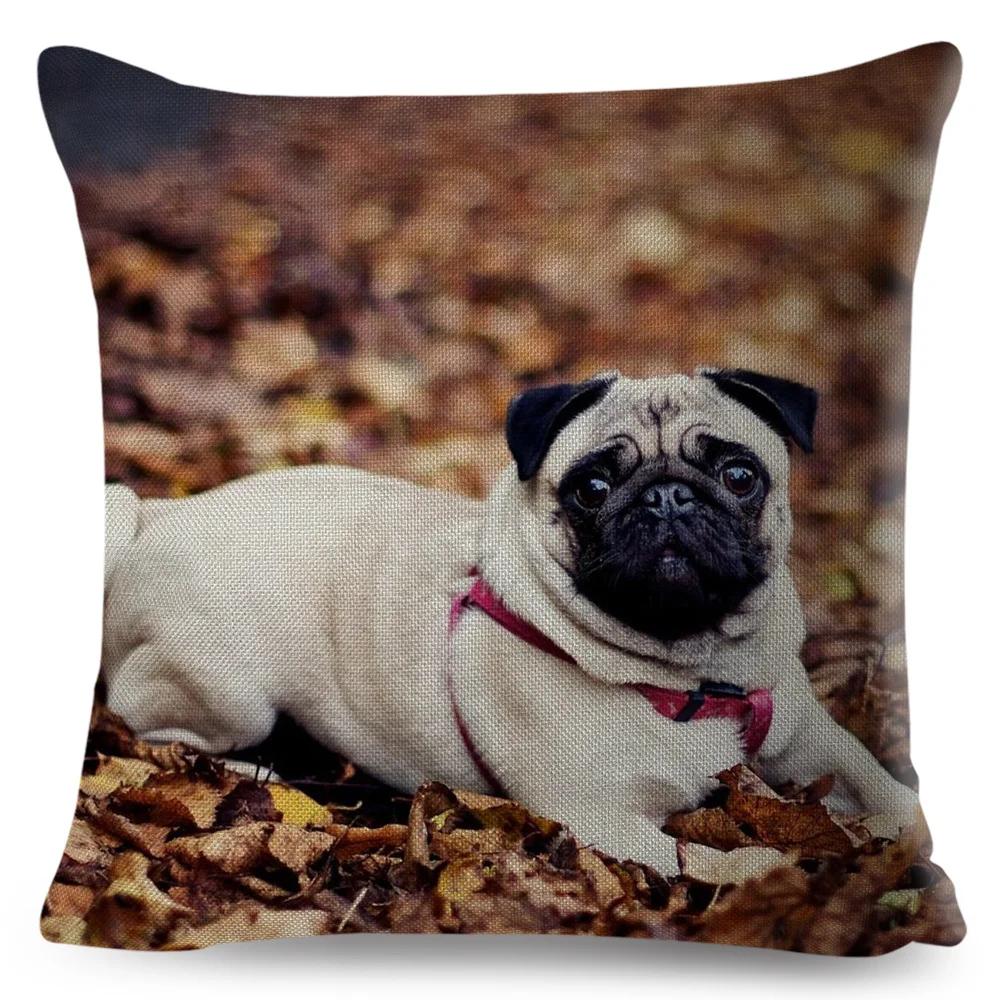 Both Sided Pug Dog Print Cushion Cover Decoration Pet Animal Pillow Case for Sofa Home Car Linen Pillowcase 45x45cm
