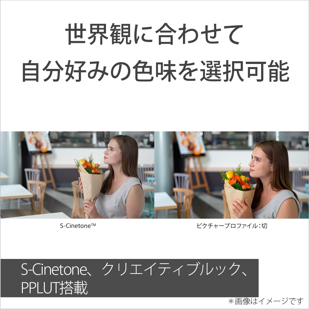 Sony Vlog Camera Interchangeable Lens VLOGCAM Full Size Mirrorless Camera Body Windscreen Included Black B / / / / Single-lens / ZV-E1 / (no Lens) / /