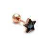 [Bnbgold] 14K/18K Black Star Piercing Earrings (Single Side) / Blue Diamond Cubic Npe21718