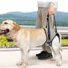 Comfortable Pet Rear Leg Support Adjustable Hind Leg Support Straps  Recovery Period