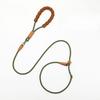 Pet Leash, Dog Walking Leash for Outdoor Use, Professional Dog Training Chain, Suitable for Large, Medium and Small Dogs