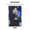 Seventeen СЛЕДУЙТЕ ЗА ТУРОМ СНОВА В КИНО Official Photocard