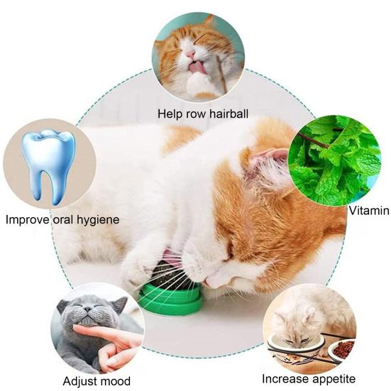 4 шт. шарики для лизания кошачьей мяты, вращающиеся настенные съедобные шарики для кошек, игрушка с натуральной кошачьей мятой, безопасная и здоровая игрушка для чистки зубов у котят