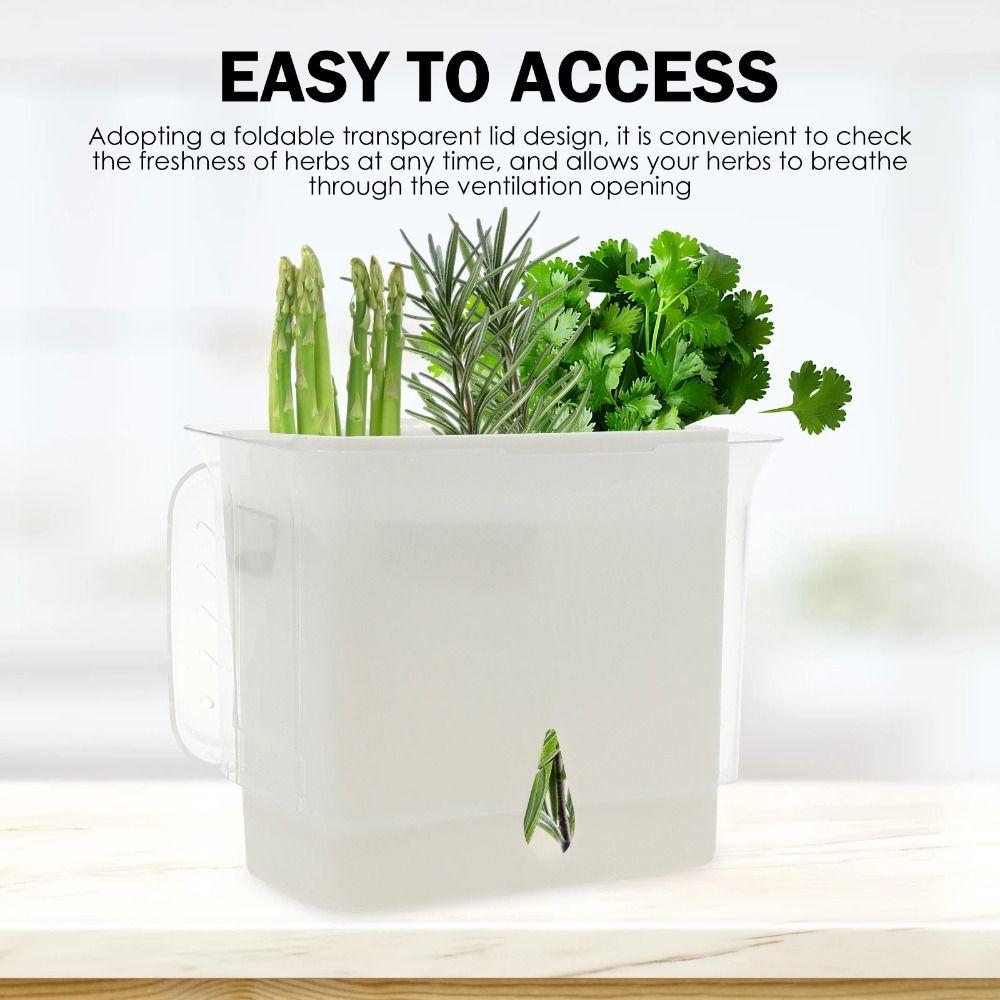 Plastic Fresh Herb Keeper Airtight Vanilla Bean Storage Box Vegetable Keeper Prolongs Produce Life