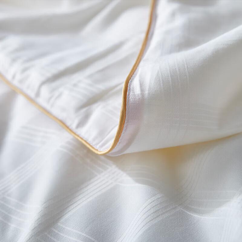 Huaxia Shengjin Natural Tussah Silk Quilt YL-Z601