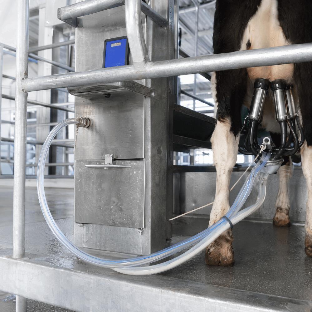 3 Meter Length Milker Tube G1/8 Milking Supplies Tool Milking Machine Pipe Milking Process