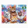 5D DIY Алмазная картина Полный круглый дрель Милые кошки Алмазная вышивка Крестиком