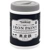 Краска на водной основе Turner Color Iron Paint Black Iron Black 500 мл