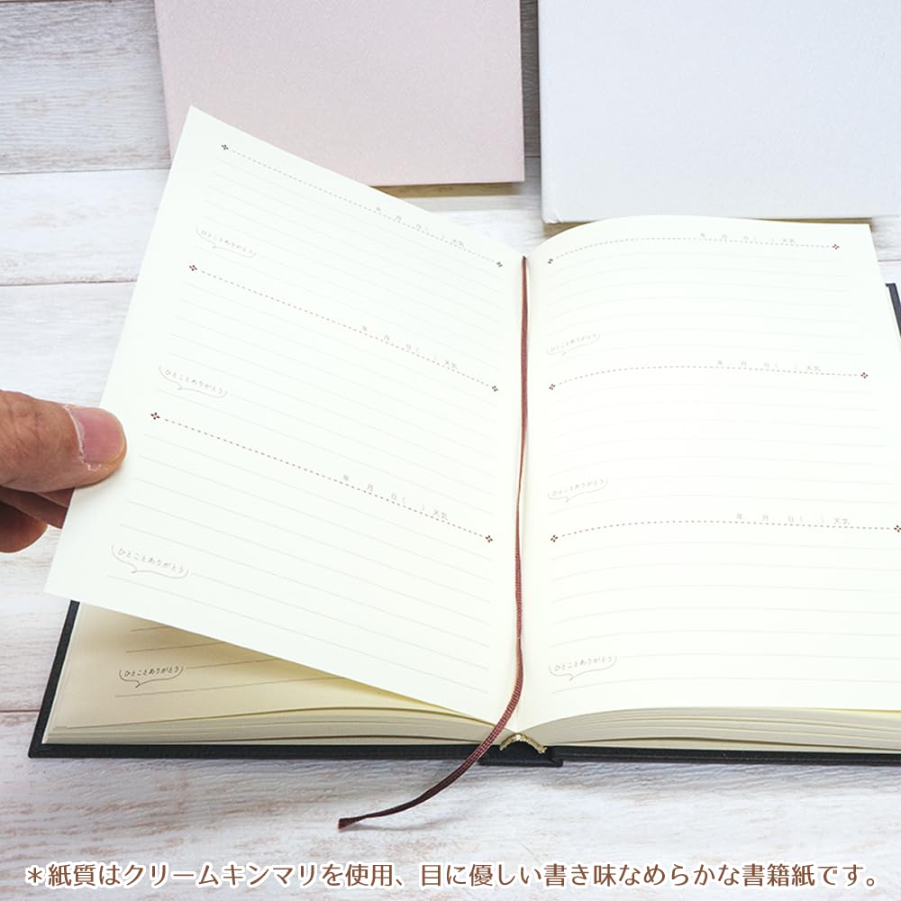 Stationery B6 Record Book Goods Mail Order Everyone's [Diary] 3-Year Diary/Rabbit Close-Pin