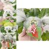 Cute Plush Hanging Doll Keychain Wholesale Stuffed Toy With Fluffy Bunny Ears Perfect Birthday Gift Characters)