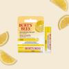 Burtsbees Advanced Relief Lip Balm Lemon 4.25g