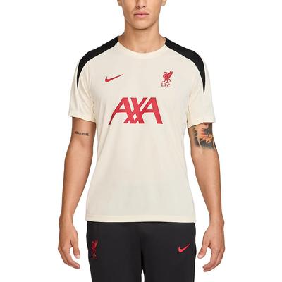 Мужской вязаный топ с коротким рукавом Nike Dri-FIT Liverpool FC Strike Special Edition HJ3388-114