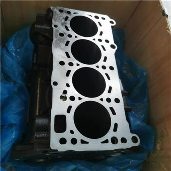 Compatible with Foton PV10001434 Cylinder Block Assembly