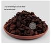 Special Fermented Pine Bark Substrate for Clivia, Phalaenopsis, and Dendrobium Orchids, New Zealand Bark for Top Dressing