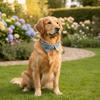 Adjustable Cat Dress Collar Soft Comfortable Pet Tie Skin Friendly Puppy Choker  Daily Wear