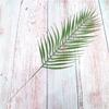 5 шт. Пластиковые искусственные зеленые пальмовые листья Сделай сам Искусственные листья Офисный декор