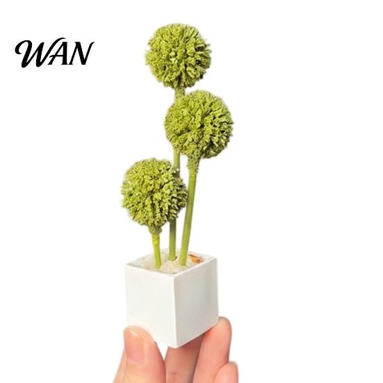 Dollhouse Accessories 1:6 Miniature Simulated Potted Plant, Realistic Artificial Greenery with White Square BJD Furniture Basin, Desktop for