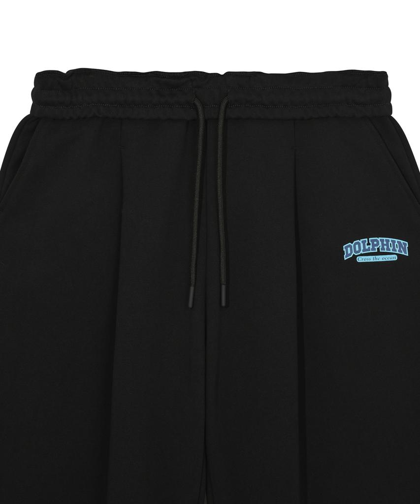 DOLPHIN WAVE APPAREL Черные брюки с одним защипом и силиконовым принтом дельфина