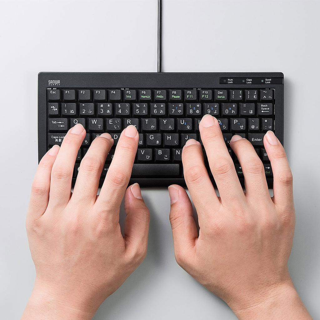 Sanwa Supply Mini Slim USB клавиатура пантограф без цифровой клавиатуры черный & SKB-SL28BK