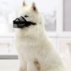 Anti Bite Mesh Dog Mouthpiece Mask For Dogs Going Out And Taking Bath Anti Stripping Dog Mask